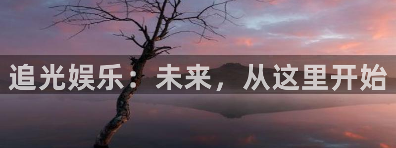 星辉平台平台官网版下载