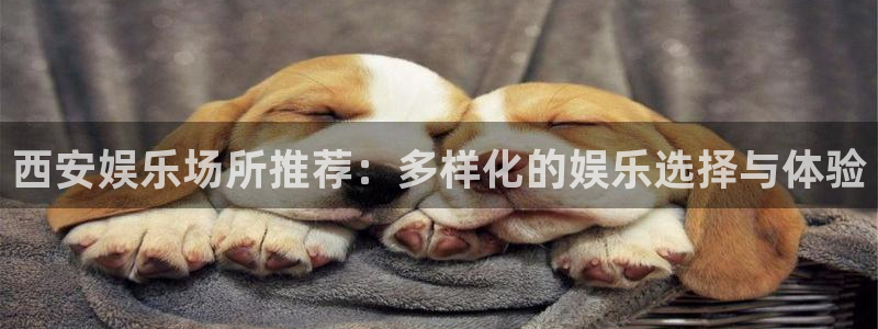 星辉平台3代理