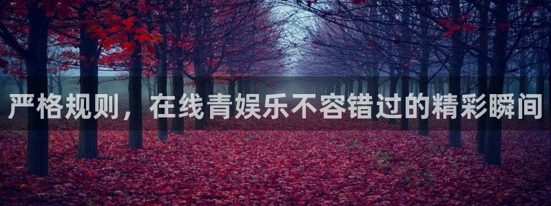 星辉平台app新版上线体验.游戏更新入口.中国：严格规则，在线青娱乐不容错过的精