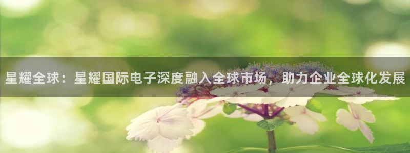 星辉平台网站登录流程：星耀全球：星耀国际电子深度融入全球市场，助力企业全球化发展