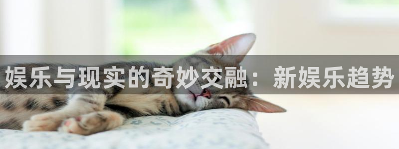 星辉平台vk：娱乐与现实的奇妙交融：新娱乐趋势