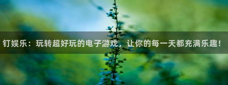 星辉平台体育注册：钉娱乐：玩转超好玩的电子游戏，让你的每一天都充满乐趣！