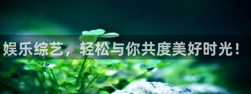 星辉平台平台官网入口下载：娱乐综艺，轻松与你共度美好时光！