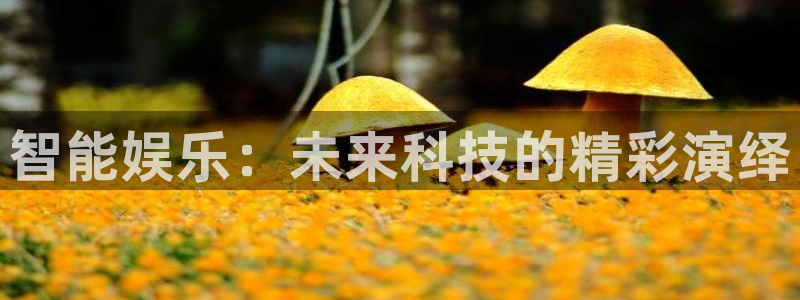 星辉平台体育论坛：智能娱乐：未来科技的精彩演绎