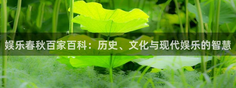 星辉平台游戏试玩：娱乐春秋百家百科：历史、文化与现代娱乐的智慧
