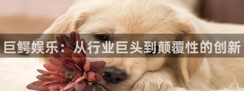 星辉平台环保：巨鳄娱乐：从行业巨头到颠覆性的创新
