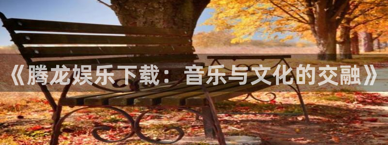 星辉平台2登录入口：《腾龙娱乐下载：音乐与文化的交融》