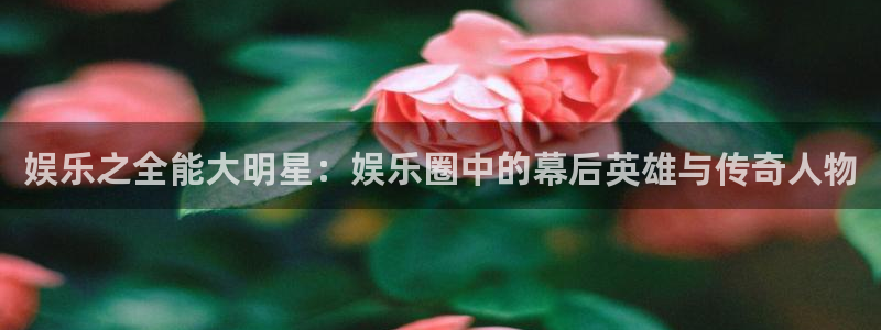 星辉平台3官网：娱乐之全能大明星：娱乐圈中的幕后英雄与传奇人物