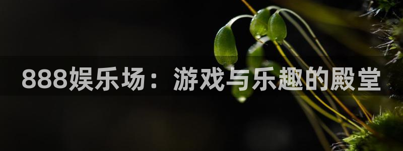 星辉平台注册：888娱乐场：游戏与乐趣的殿堂