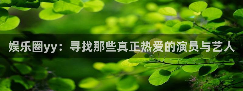 星辉平台体育2官网入口