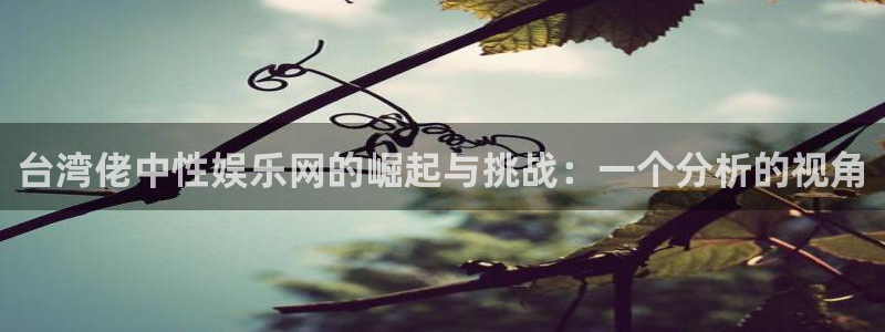 星辉平台分红代理计划