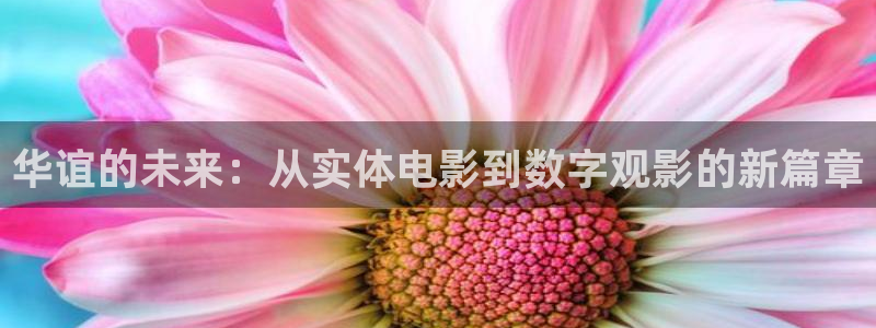 星辉平台平台官网：华谊的未来：从实体电影到数字观影的新篇章