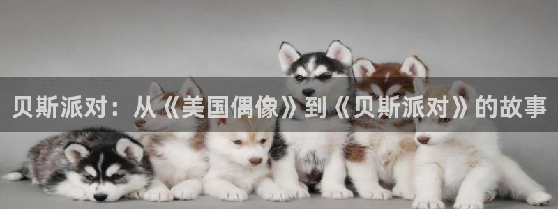 星辉平台.ccmpc正版：贝斯派对：从《美国偶像》到《贝斯派对》的故事