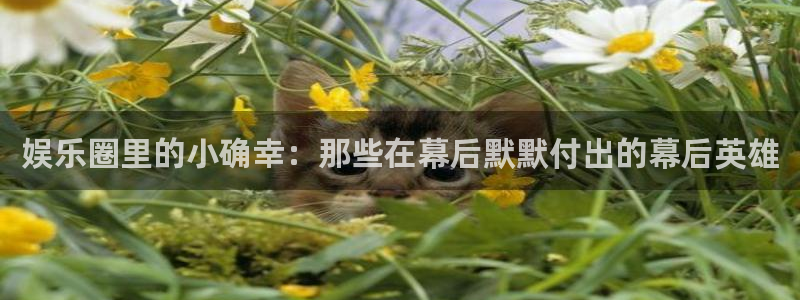 星辉平台f凯捷注册：娱乐圈里的小确幸：那些在幕后默默付出的幕后英雄