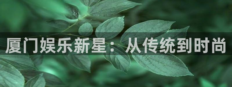 下载星辉平台：厦门娱乐新星：从传统到时尚