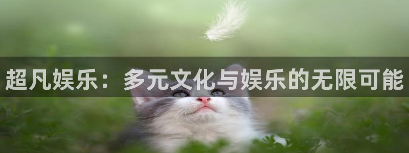 星辉平台app新版上线体验.游戏更新入口.中国：超凡娱乐：多元文化与娱乐的无限可