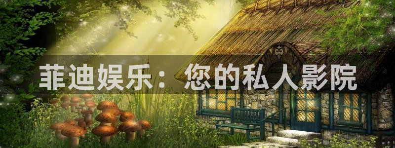 星辉平台官网下载：菲迪娱乐：您的私人影院