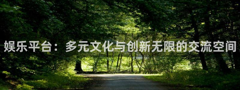 星辉平台体育官网：娱乐平台：多元文化与创新无限的交流空间