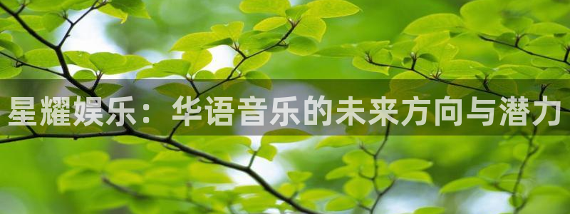 www.星辉平台体育.com：星耀娱乐：华语音乐的未来方向与潜力