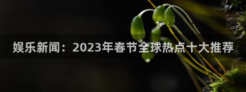 星辉平台是大平台吗：娱乐新闻：2023年春节全球热点十大推荐