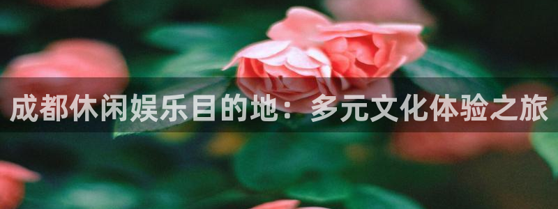 星辉平台平台开户：成都休闲娱乐目的地：多元文化体验之旅