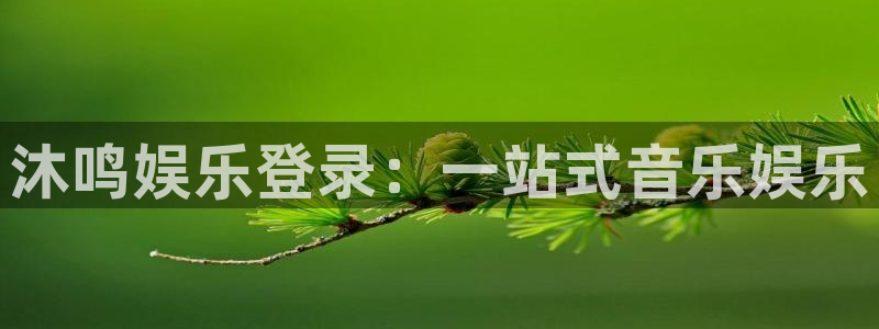 星辉平台体育注册：沐鸣娱乐登录：一站式音乐娱乐