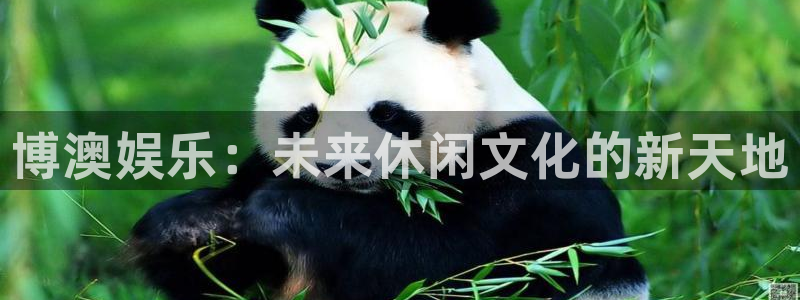 星辉平台加拿大下载：博澳娱乐：未来休闲文化的新天地