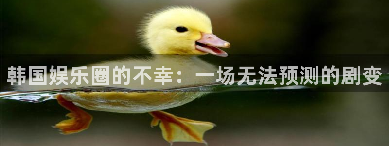 星辉平台主管：韩国娱乐圈的不幸：一场无法预测的剧变