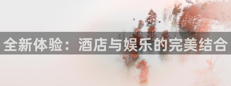 星辉平台下载链接是多少：全新体验：酒店与娱乐的完美结合