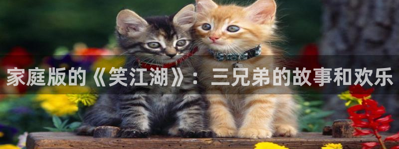 星辉平台体育注册平台：家庭版的《笑江湖》：三兄弟的故事和欢乐